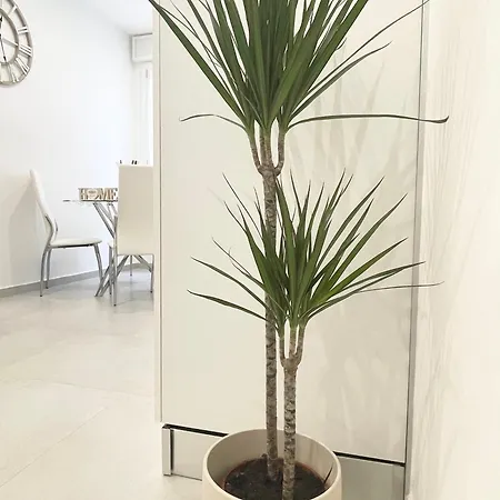 Sabo ボローニャ